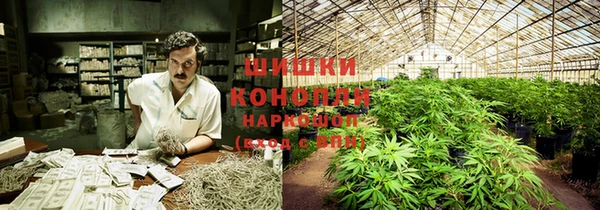 mdpv Киреевск