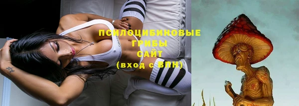 mdpv Киреевск